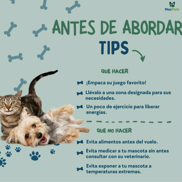 Tips for trouble-free air travel with your pet