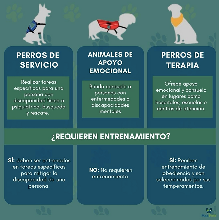 Diferencias clave entre Perros de Servicio, Animales de Soporte Emocional y Perros de Terapia